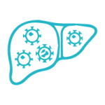Hepatitis Virales