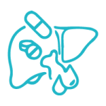 Hepatotoxicidad