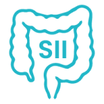 Síndrome de Intestino Irritable (Colitis)